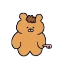 Urso 24