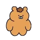 Urso 7