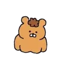 Urso 19