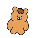 Urso 16