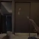 Gatos,Mishis ️ 5