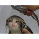 aaaaaaa 8