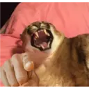 aaaaaaa 27