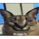 No papu :"v