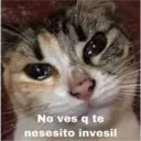 No ves q te
nesesito invesil