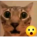 aaaaaaa 19