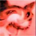 aaaaaaa 29