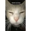 Perdón me dormí