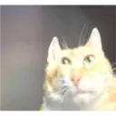 aaaaaaa 22