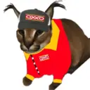 ΟΥΧΟ
OXXO