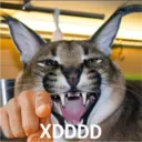 XDDDD