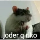 joder q riko