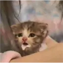 aaaaaaa 2