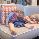 Bebes durmiendo 16