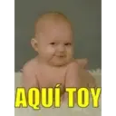 Bebés Curiosos  1 Movi 24