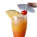 Bebidas 1 13