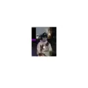xdd 13
