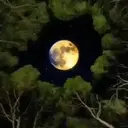 मेरा चाँद 1 23