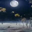 मेरा चाँद 1 4