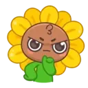 Sunflower MOV. 27