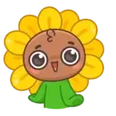 Sunflower MOV. 26