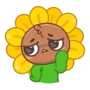 Sunflower MOV. 6