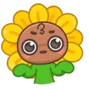 Sunflower MOV. 15