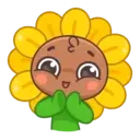 Sunflower MOV. 13