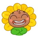 Sunflower MOV. 7