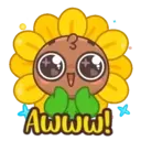 Sunflower MOV. 16