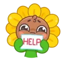Sunflower MOV. 4