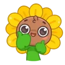 Sunflower MOV. 19