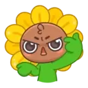 Sunflower MOV. 24
