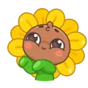 Sunflower MOV. 5