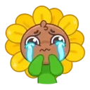 Sunflower MOV. 30