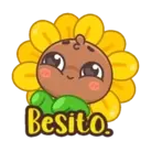 Sunflower MOV. 12