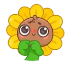 Sunflower MOV. 25