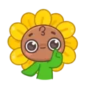 Sunflower MOV. 11
