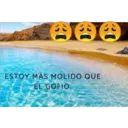 ESTOY MÁS MOLIDO QUE
EL GOFIO.
