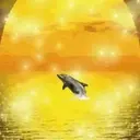 Delfines  1 Movi 17