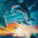 Delfines  1 Movi 4
