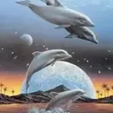 Delfines  1 Movi 19