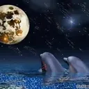 Delfines  1 Movi 28