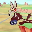 El coyote 14