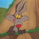 El coyote 17