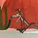 El coyote 18