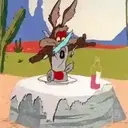 El coyote 11