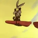 El coyote 5