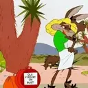 El coyote 12