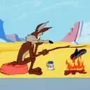 El coyote 19